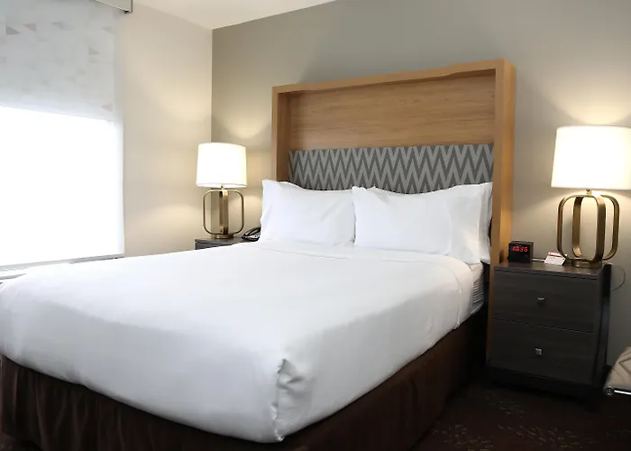 O'hare Area By Ihg Rosemont