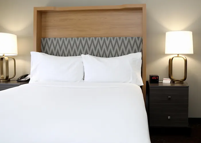 O'hare Area By Ihg 3* Rosemont