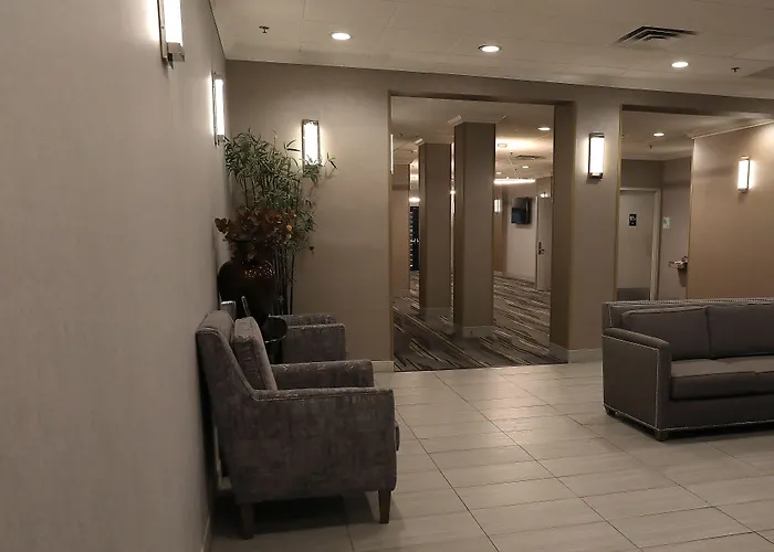 Hotel O'hare Area By Ihg