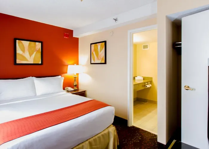 Hotel O'hare Area By Ihg
