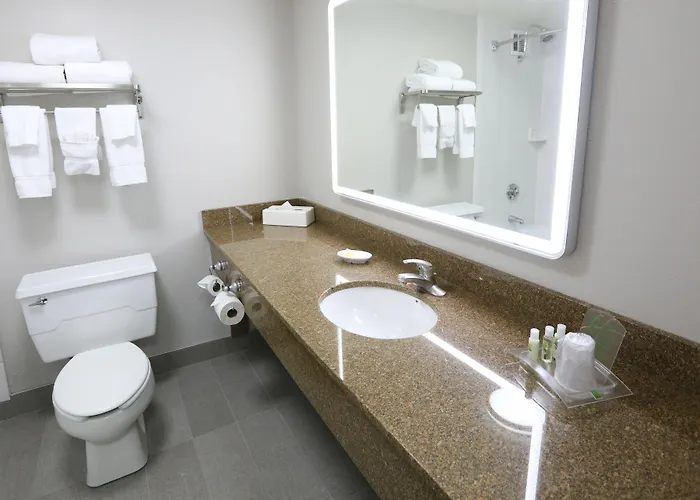 Hotel O'hare Area By Ihg 3*