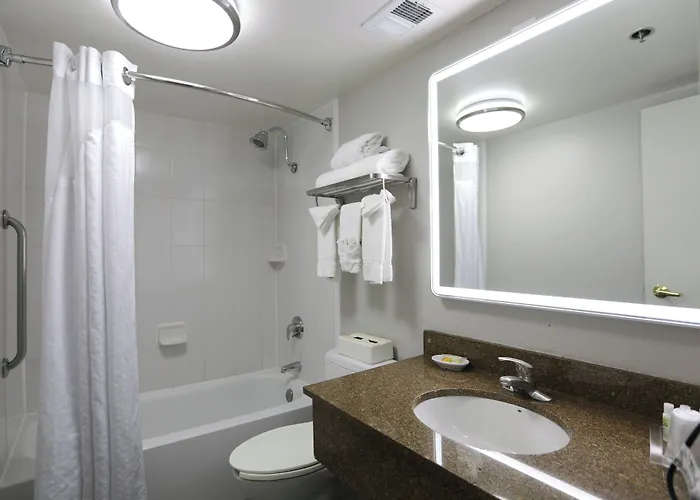 Hotel O'hare Area By Ihg 3*
